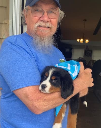 Mirabel, a Bernese Mountain Dog puppy from Pawrade