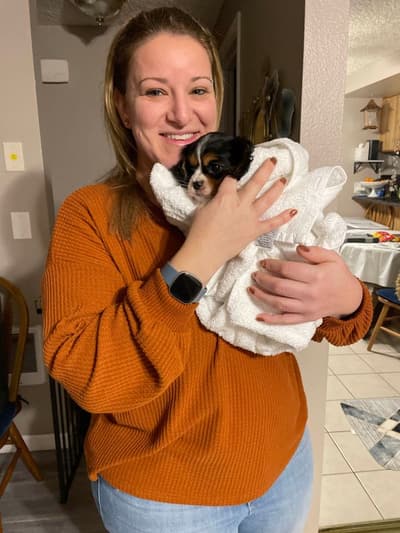 Luciana, a Cavalier King Charles Spaniel puppy from Pawrade