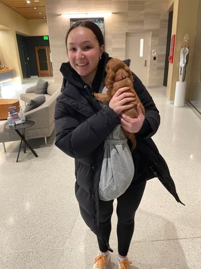 Calliope, a Cavalier King Charles Spaniel puppy from Pawrade