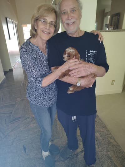 Maddie, a Cavapoo puppy from Pawrade