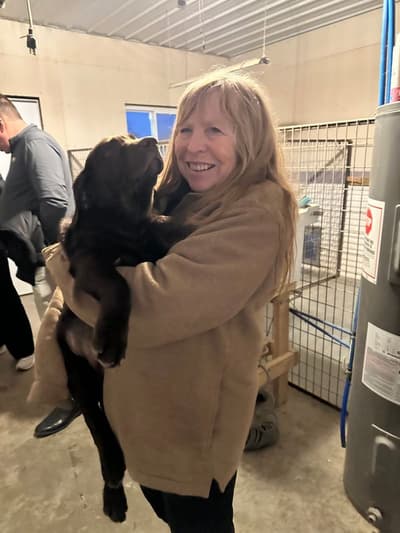 Madison, a Labrador Retriever puppy from Pawrade
