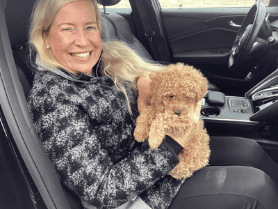 Giselle, a Goldendoodle, Mini puppy from Pawrade