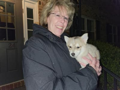 Jordi, a Pomsky puppy from Pawrade