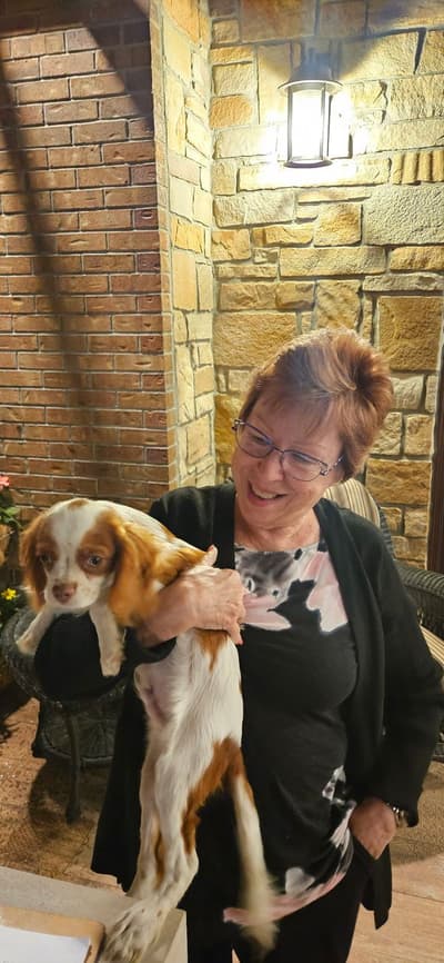Donovan, a Cavalier King Charles Spaniel puppy from Pawrade