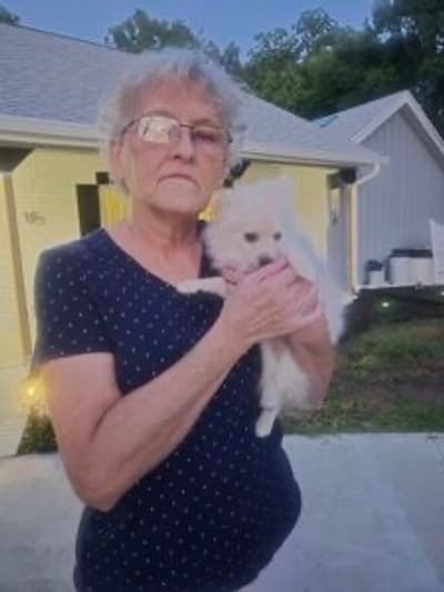 Wayne, a Pomeranian puppy from Pawrade