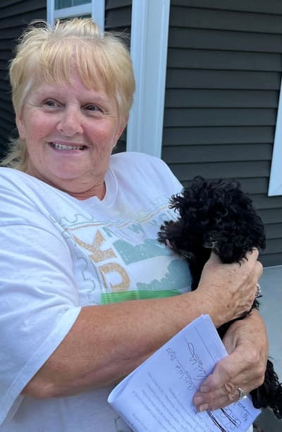 Brody, a Poodle, Toy puppy from Pawrade