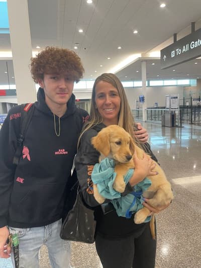 Saphira, a Golden Retriever puppy from Pawrade