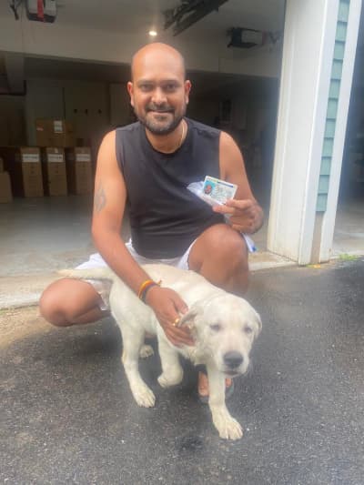 Chris, a Labrador Retriever puppy from Pawrade