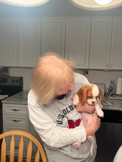 Guinevere, a Cavalier King Charles Spaniel puppy from Pawrade