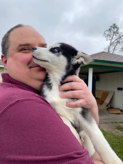 Miles, a Siberian Husky puppy from Pawrade