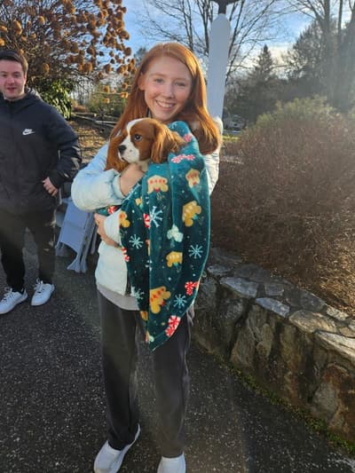 Declan, a Cavalier King Charles Spaniel puppy from Pawrade