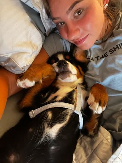 Nacho, a Bernese Mountain Dog puppy from Pawrade