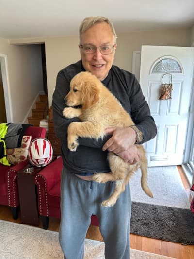 Spike, a Golden Retriever puppy from Pawrade