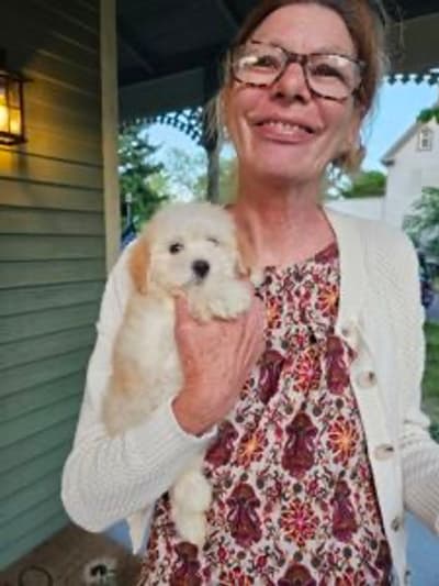 Emma, a Malti Poo - Maltipoo puppy from Pawrade
