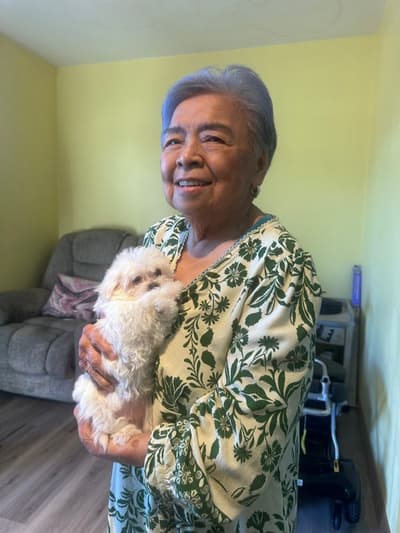 Erica, a Maltese puppy from Pawrade