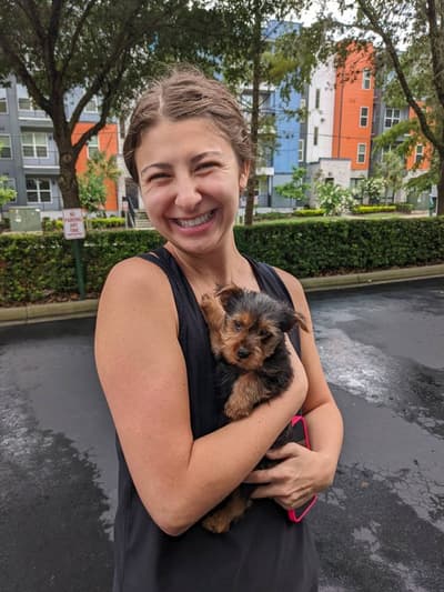 Baxter, a Yorkshire Terrier - Yorkie puppy from Pawrade