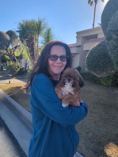 Fenton, a Shih Tzu puppy from Pawrade