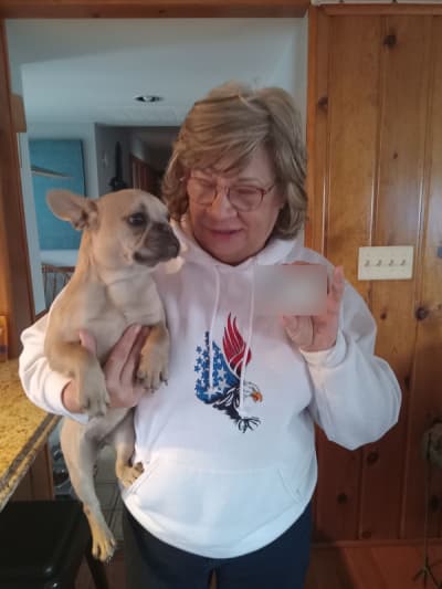 Kira, a French Bulldog puppy from Pawrade