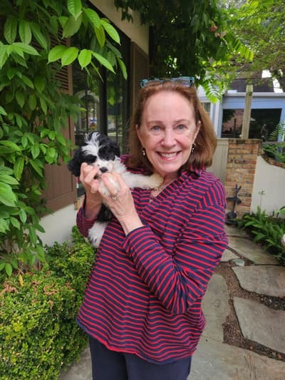 Bonnie, a Cavapoo puppy from Pawrade