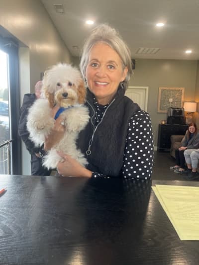 Emiko, a Malti Poo - Maltipoo puppy from Pawrade