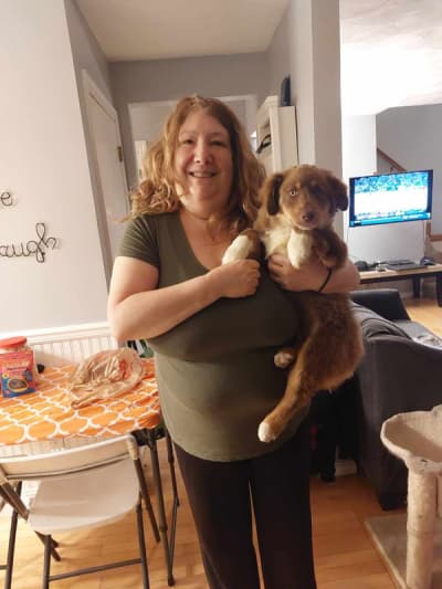 Brooke, a Miniature Australian Shepherd puppy from Pawrade