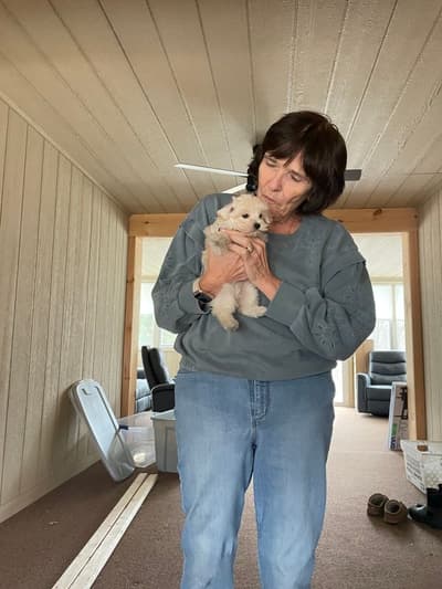Buttercup, a Malti Poo - Maltipoo puppy from Pawrade