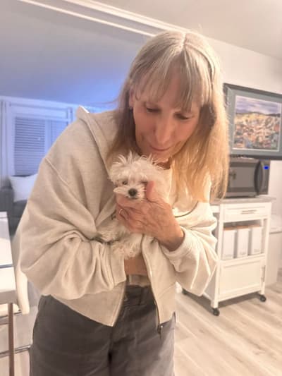 Pippy, a Maltese puppy from Pawrade