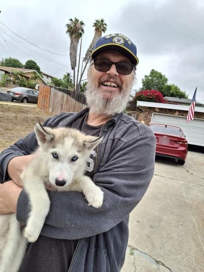 Brendan, a Siberian Husky puppy from Pawrade