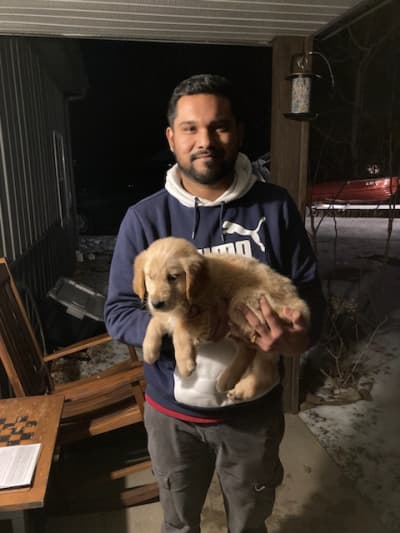 Roxie, a Golden Retriever puppy from Pawrade