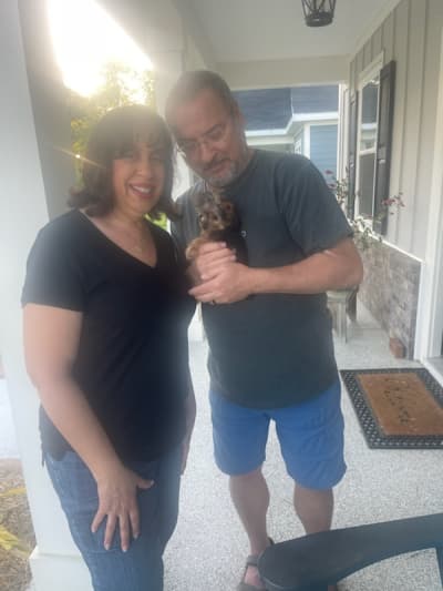 Delia, a Yorkshire Terrier - Yorkie puppy from Pawrade