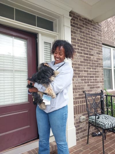 Hunter, a Yorkiepoo - Yorkie Poo puppy from Pawrade