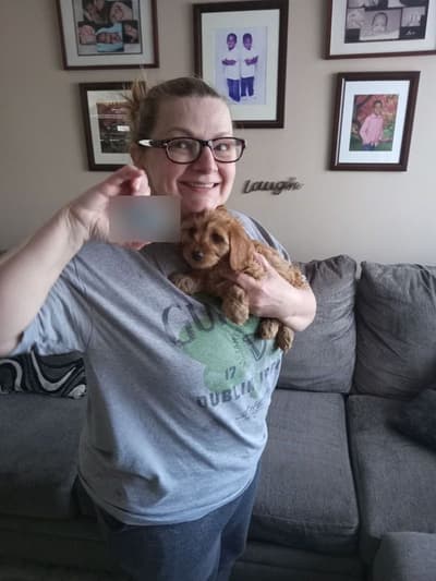 Zelda, a Cavapoo puppy from Pawrade