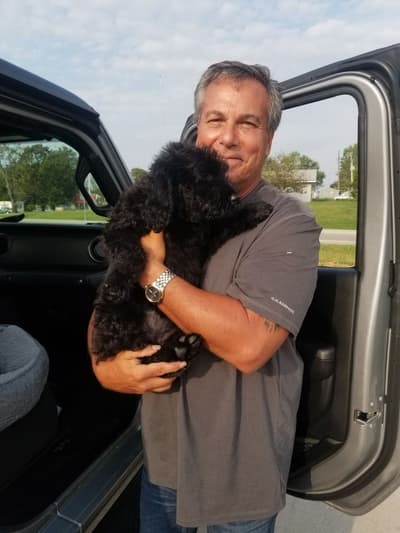 Lilly, a Goldendoodle puppy from Pawrade