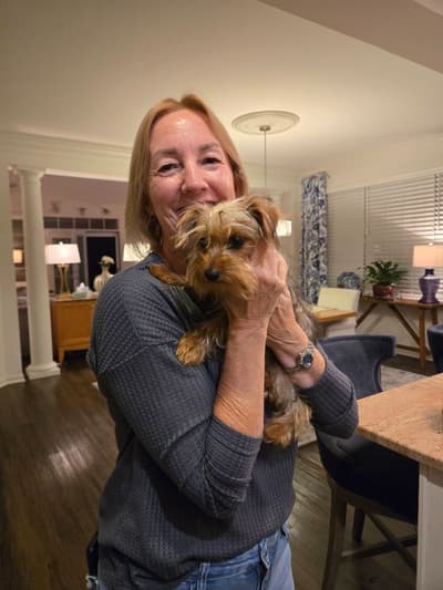 Addison, a Yorkshire Terrier - Yorkie puppy from Pawrade