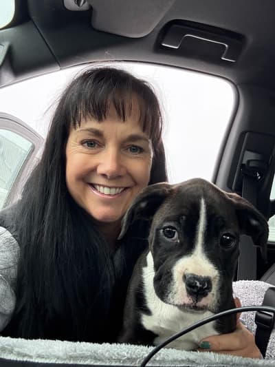 Scarlett, a Boxer puppy from Pawrade