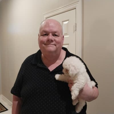 Huxton, a Bichon Frise puppy from Pawrade