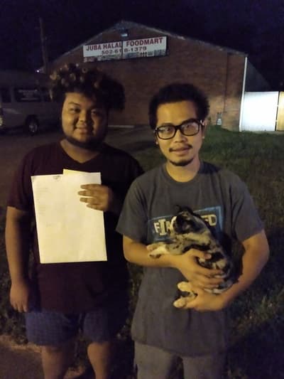 Jasmine, a Frenchton puppy from Pawrade