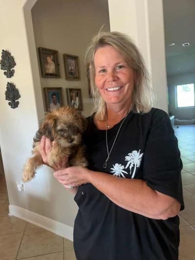 Gabby, a Yorkiepoo - Yorkie Poo puppy from Pawrade