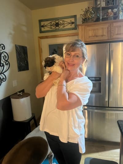Elyssa, a Shih Tzu puppy from Pawrade
