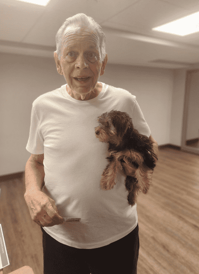 Caesar, a Yorkshire Terrier - Yorkie puppy from Pawrade