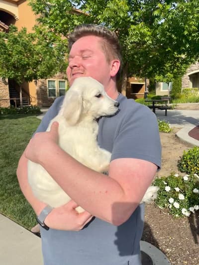 Harmony, a English Golden Retriever puppy from Pawrade