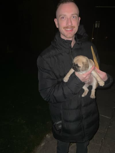 Faye, a Pug puppy from Pawrade