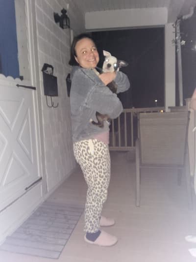 Buster, a Boston Terrier puppy from Pawrade