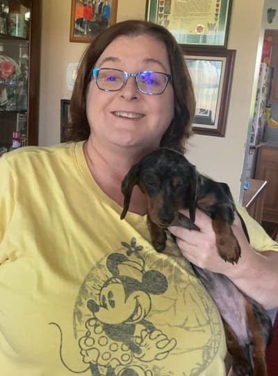 Jolene, a Dachshund, Mini puppy from Pawrade