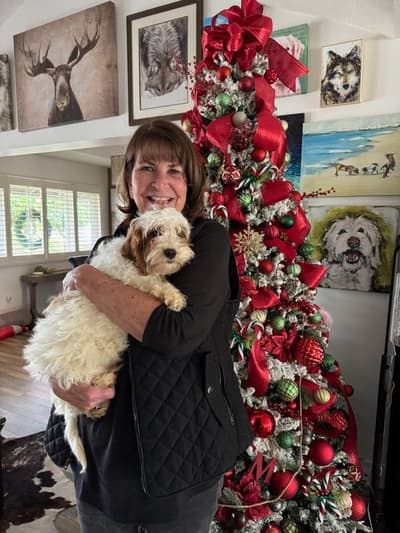 Ink, a Cavapoo puppy from Pawrade