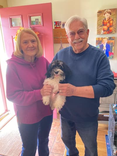 Zion, a Havanese puppy from Pawrade