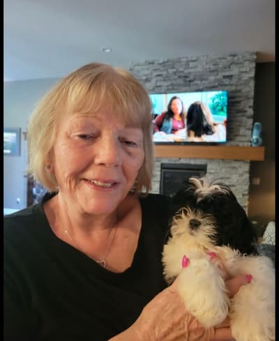 Poppy, a Shih Tzu puppy from Pawrade