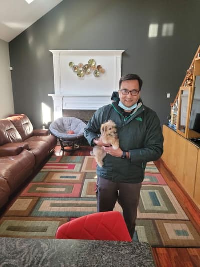 Oliver, a Yorkiechon puppy from Pawrade