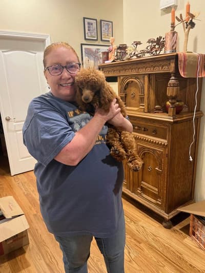 October, a Poodle, Toy puppy from Pawrade