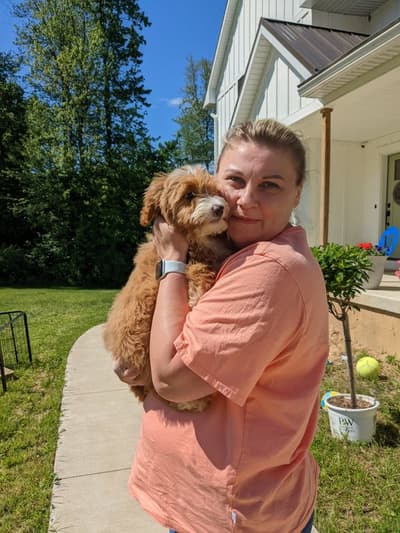 Gracie, a Goldendoodle, Mini puppy from Pawrade